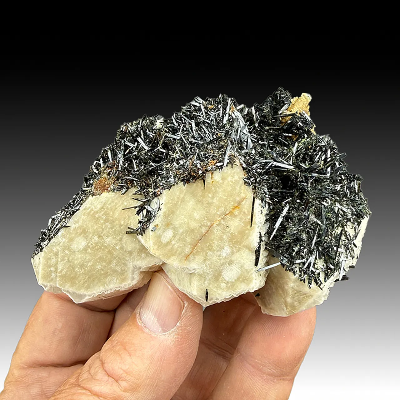 Aegirine with Microcline - image 1