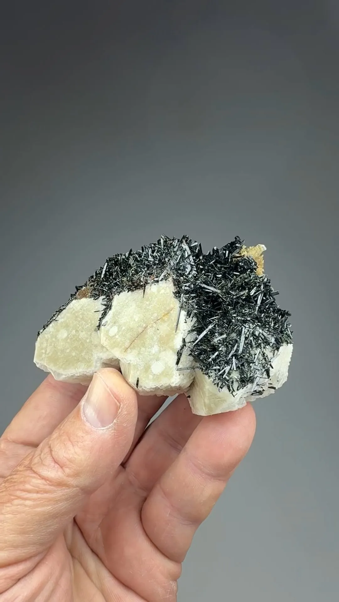 Aegirine with Microcline - image 2