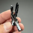 Aegirine with Orthoclase - image 2