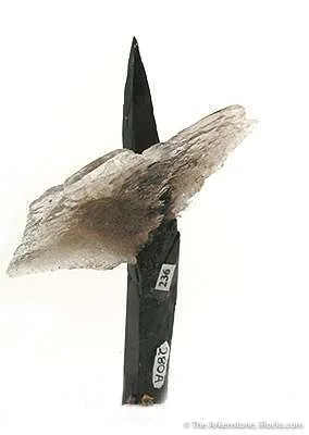 Aegirine With Quartz - image 2