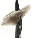 Aegirine With Quartz - image 2