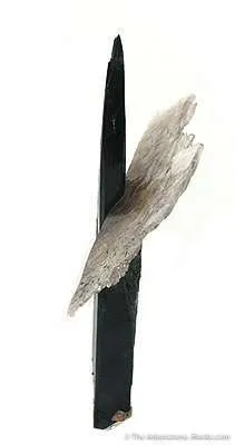 Aegirine With Quartz - image 4