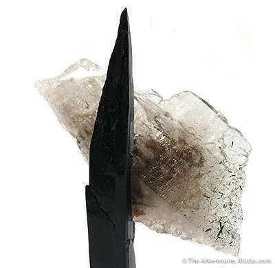 Aegirine With Quartz - image 3
