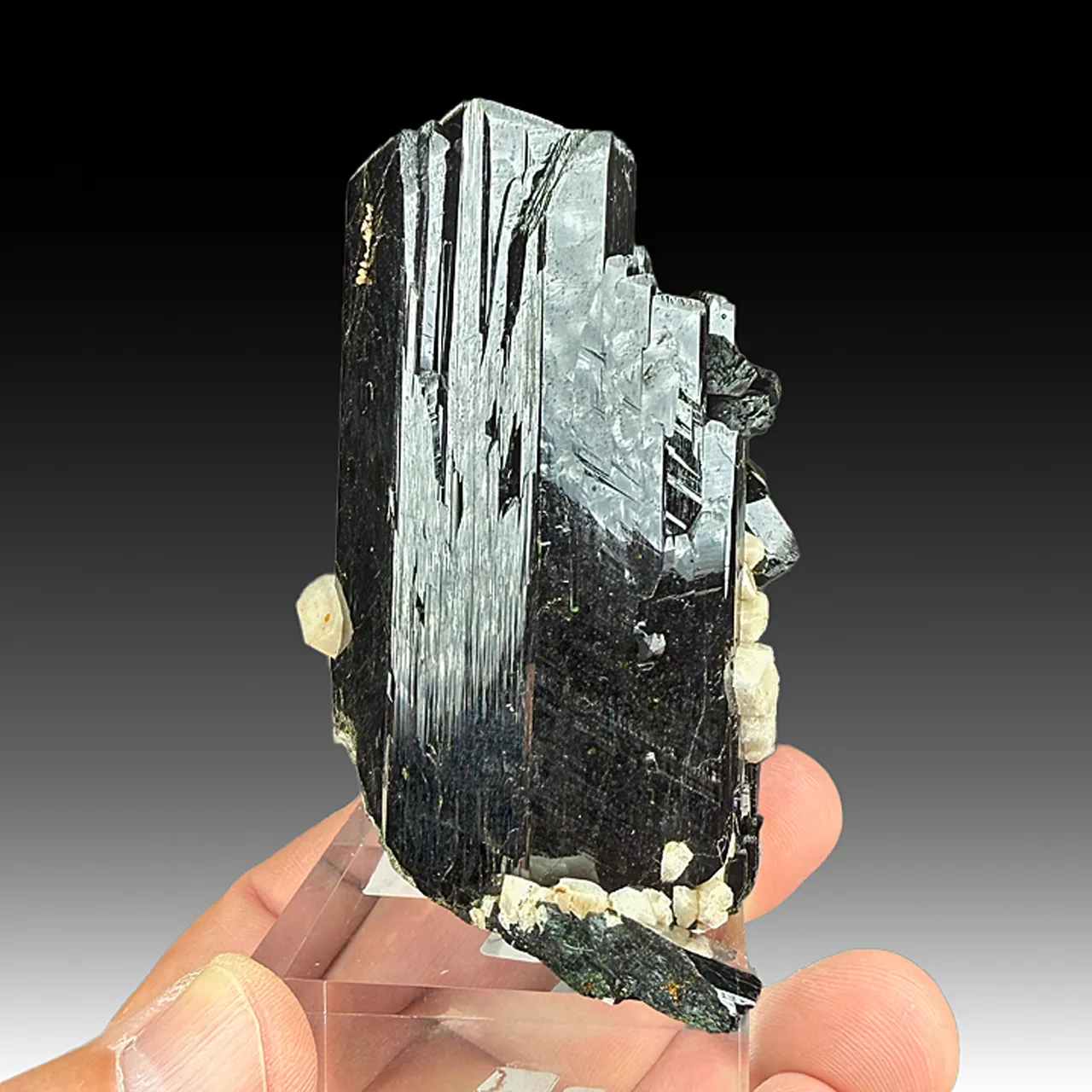 Aegirine with Zircon, Microcline - image 1