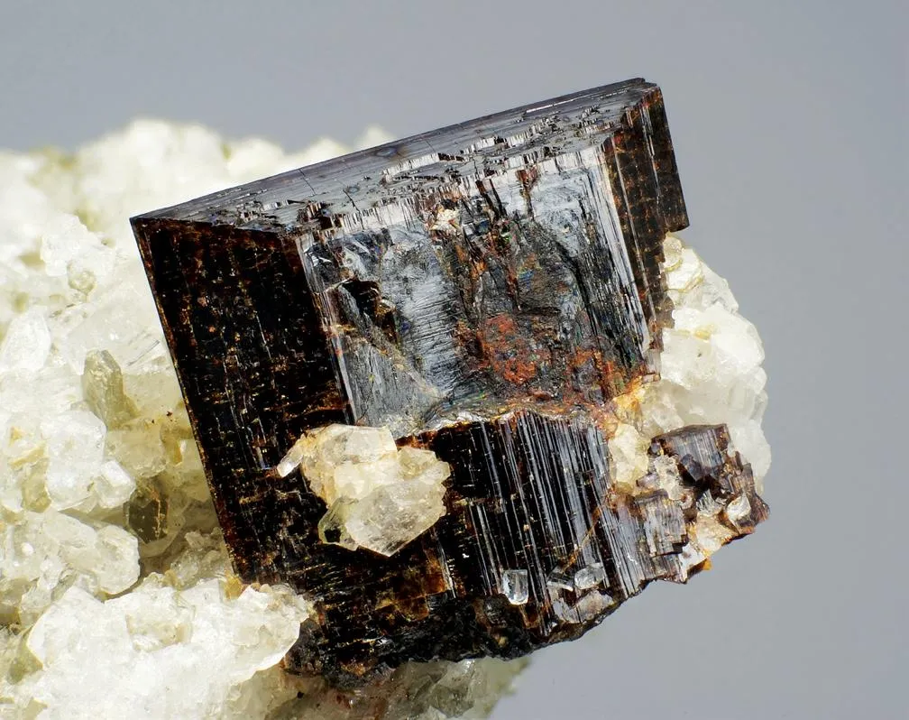 Aeschynite-(Y) image