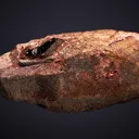 Aeschynite-(Y) - image 3
