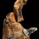 Aeschynite-(Y) (repaired) - image 1