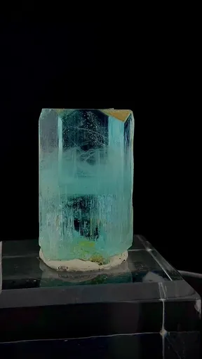 specimen video