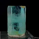 specimen video