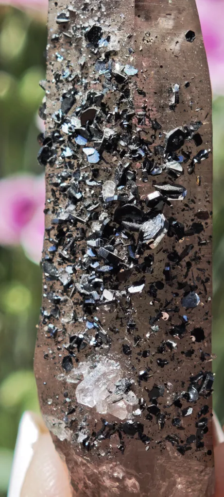 Aesthetic Smoky Quartz with Lustrous Hematite – Swiss Alpine Specimen - image 8