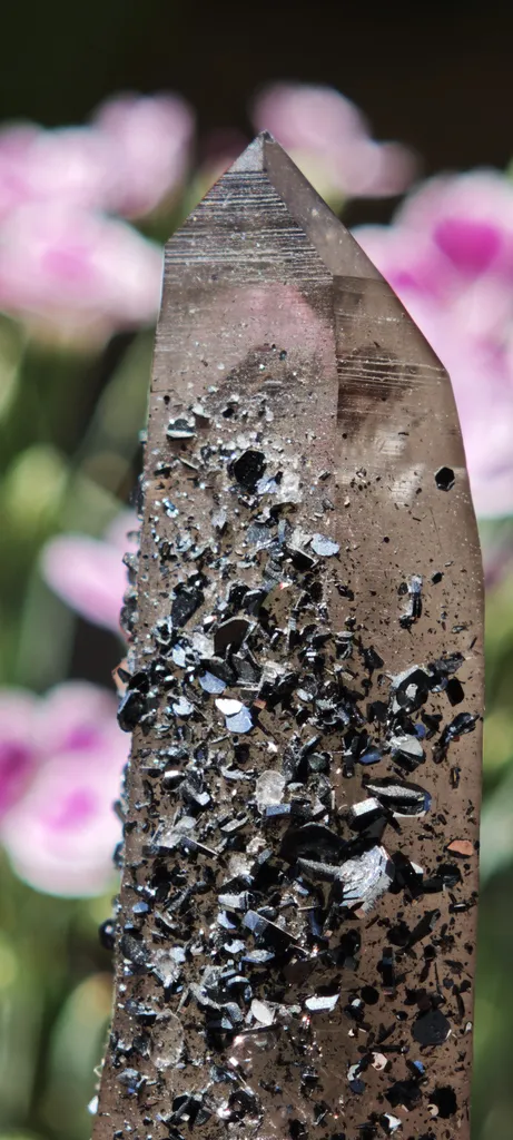 Aesthetic Smoky Quartz with Lustrous Hematite – Swiss Alpine Specimen image