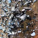 specimen video
