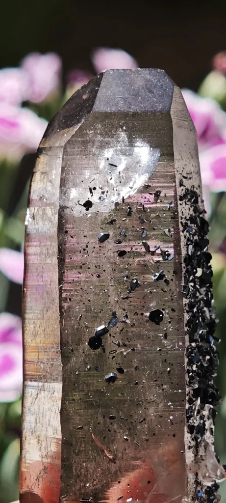 Aesthetic Smoky Quartz with Lustrous Hematite – Swiss Alpine Specimen - image 5
