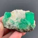 specimen video