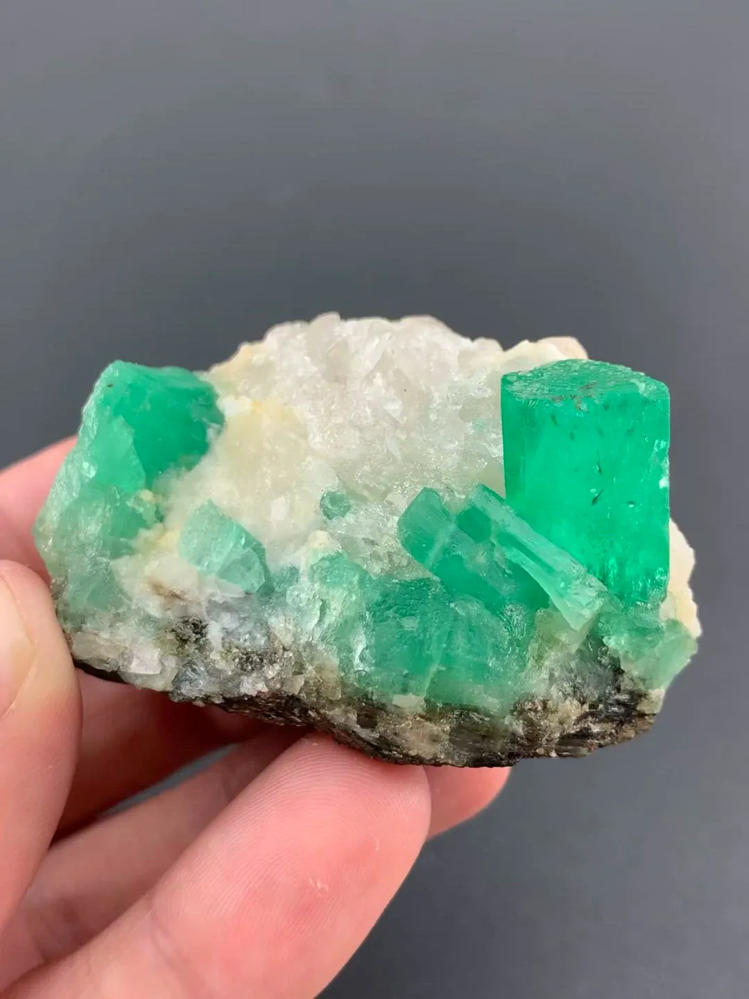 specimen video