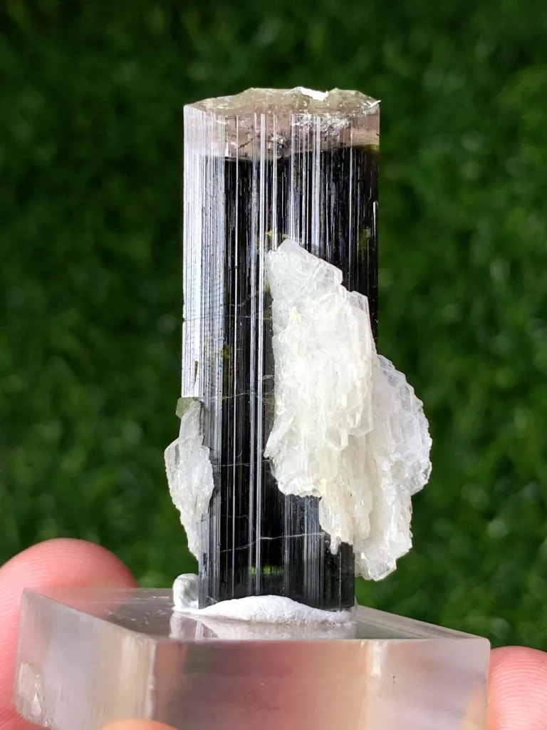Afghan Double Terminated Tricolor Tourmaline Crystal, Tourmaline with Cleavelandite Albite - image 3