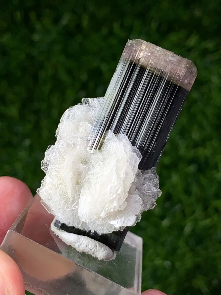 Afghan Double Terminated Tricolor Tourmaline Crystal, Tourmaline with Cleavelandite Albite - image 7