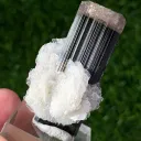 Afghan Double Terminated Tricolor Tourmaline Crystal, Tourmaline with Cleavelandite Albite - image 7