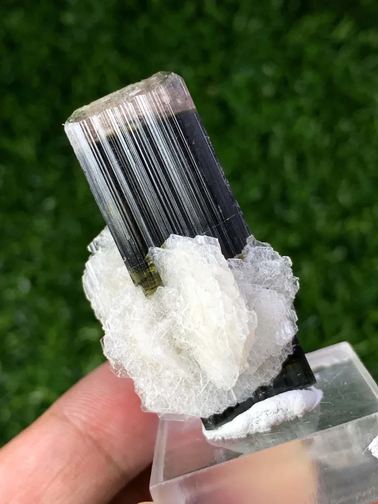 Afghan Double Terminated Tricolor Tourmaline Crystal, Tourmaline with Cleavelandite Albite - image 4
