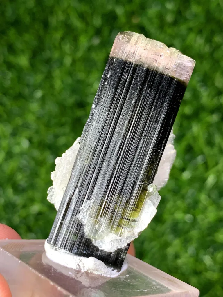 Afghan Double Terminated Tricolor Tourmaline Crystal, Tourmaline with Cleavelandite Albite - image 2