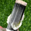 Afghan Double Terminated Tricolor Tourmaline Crystal, Tourmaline with Cleavelandite Albite - image 2