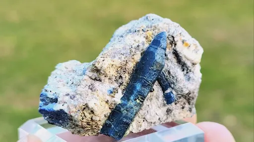 specimen video