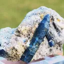 specimen video