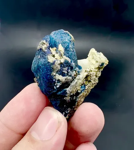 specimen video