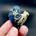 specimen video