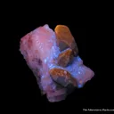 Afghanite (fluorescent) (TL) - image 6