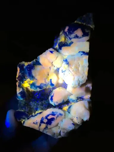 specimen video