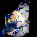 specimen video