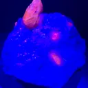 specimen video