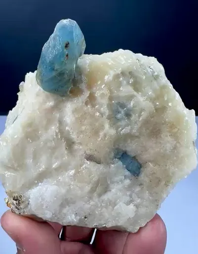 specimen video