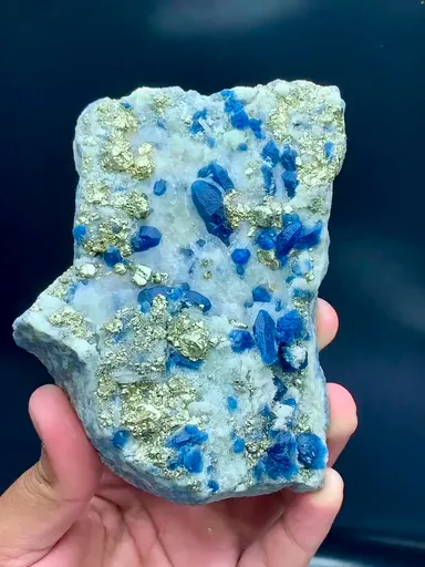 specimen video