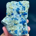 specimen video