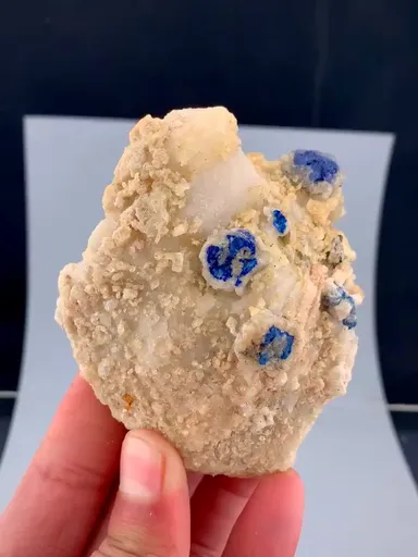 specimen video