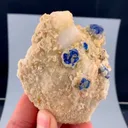 specimen video