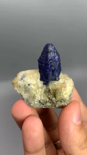 specimen video