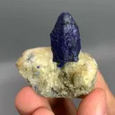 specimen video