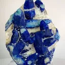 specimen video