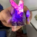 specimen video