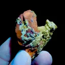 specimen video