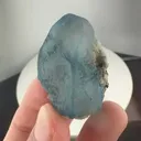 specimen video