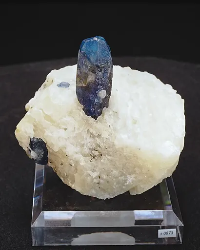 specimen video