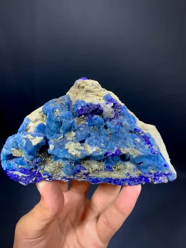 specimen video