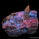 Afghanite (TL) (fl) on Calcite (fl) - image 8