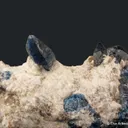 Afghanite (TL) (fl) on Calcite (fl) - image 7