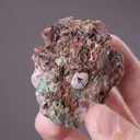 AGARDITE-Ce on Dolomite with Malachite and Duftite - image 2