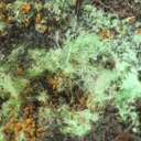 Agardite from Greece, Attica, Christiana Mine - image 3